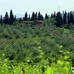 Séjour à la campagne Fattoria Casa Sola Barberino di Val dʼElsa